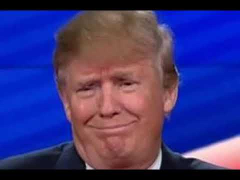 It Comes From China feat.Donald Trump - MindFox