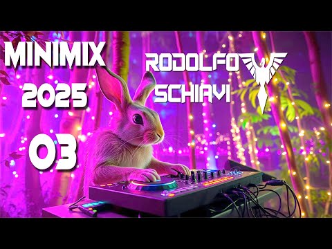 Mini Mix 2025 - 03 -  Signum, ReOrder, Marcel Woods, Rodolfo Schiavi, Rank1 Pulp Victim, Trance Set