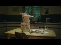 Wiggle Cat(Mountain Dew commercial)