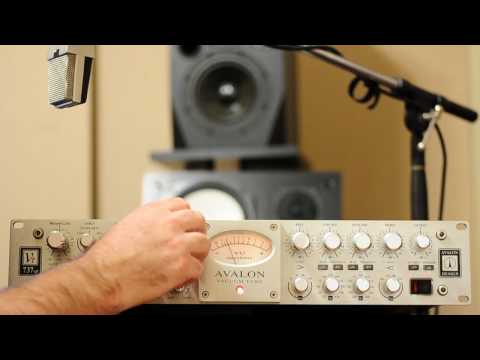Avalon VT-737sp Tube Channel Strip 2010s - Silver image 4