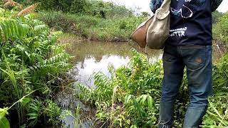 preview picture of video 'Trip spcial rawa tambang emas part 2'