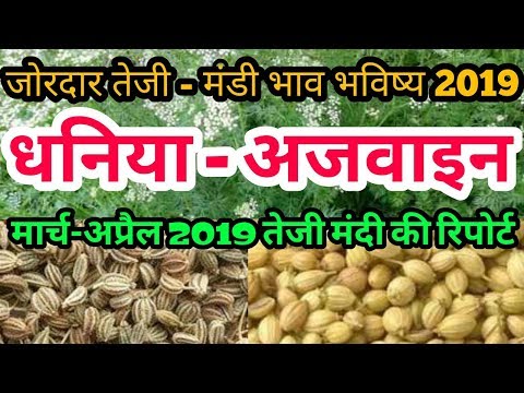 download lagu mp3 mp4 Ajwain Mandi Rates, download lagu Ajwain Mandi Rates gratis, unduh video klip Ajwain Mandi Rates