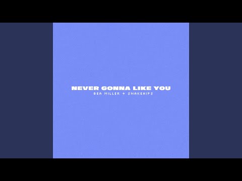 NEVER GONNA LIKE YOU (Clean Version)