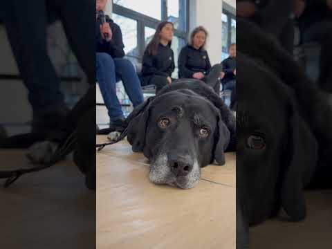 Stadt.Stimmen.Storys: Jennifer Poschen