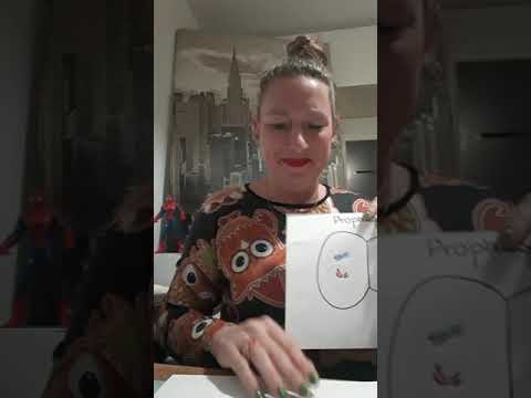 Exkurs: Bio 10.Erklärbärvideo Meiose