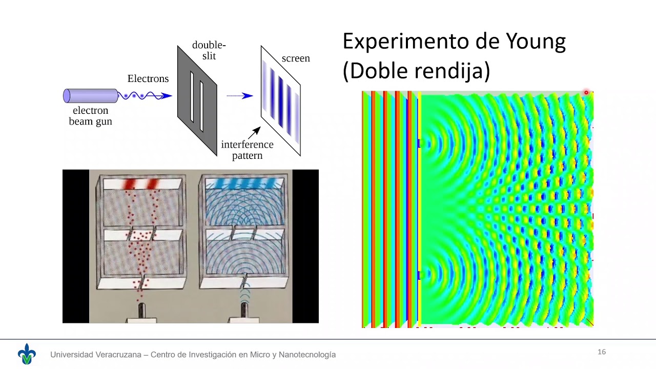 Microscopia Electrónica - Sesión 5