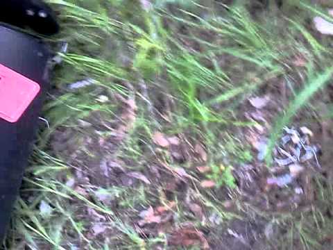 12 gauge flechettes. Shooting nails from shotgun.