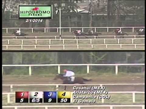 1RA CARRERA SABADO 1 DE FEBRERO DEL 2014 HPR