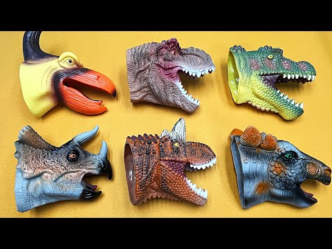 6 Dinosaur Heads Disappeared - pteranodon Stegosaurus Tyrannosaurus Triceratops 