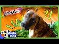 Dog Won T Stop Until He Destroys All The Plants Dodo Kids Bad Boys And Girls