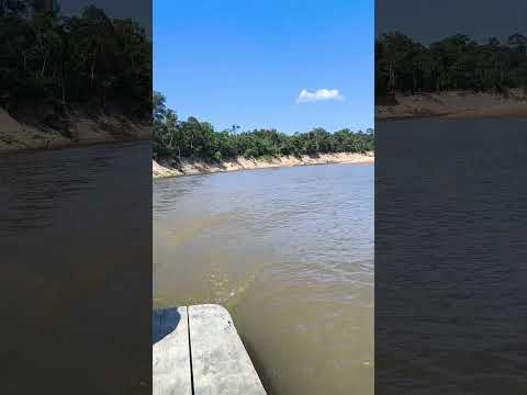 Rio Pauini no Amazonas