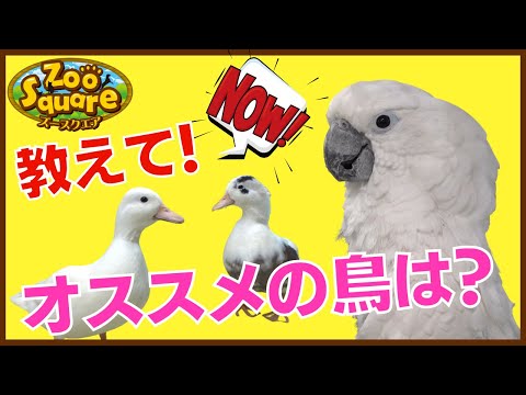 ズースクエア岡崎店_#4 鳥編