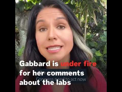 Comrade Tulsi Gabbard and Biolabs