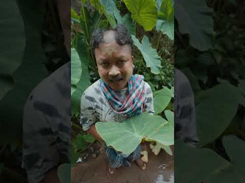 แลรักนิรันดร์กาล Cover By โบ๊ะบ๊ะโชว์