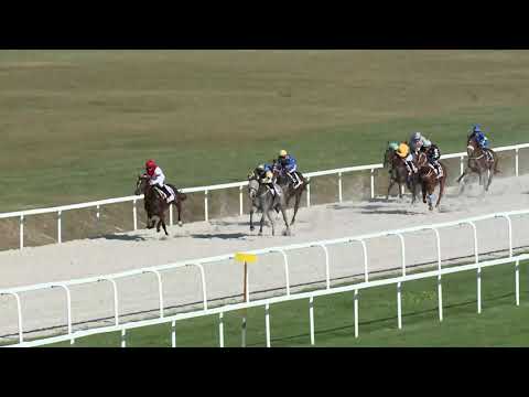 2019.09.15. 04. futam - VAJDA SÁNDOR EMLÉKVERSENY - NYERETLENEK VERSENYE (V.kat.) (szintetikus p.)