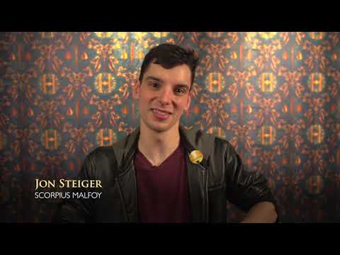 Would you rather attend Beauxbatons or Durmstrang?