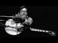 Dave Van Ronk - Buckets Of Rain (Live 2001)