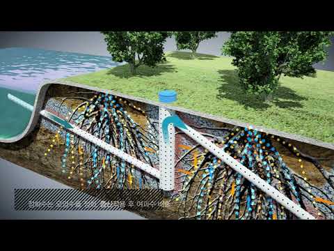 Riverside cartridge absorption, tree-based water and soil purification facility (carbon emission credit acquisition)