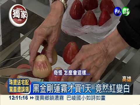 黑金剛蓮霧染色? 買來1天紅變白