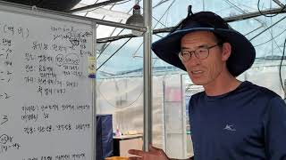 (2)고추재배 다수확을 위한 유기농액비 활용법