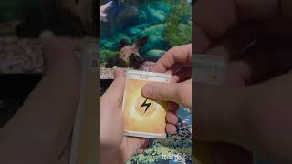 Opening a pack a day! (Day 427) #pokemon #pokemoncards