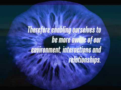 The Internal Observer