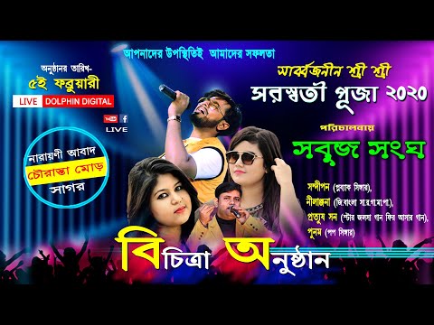 download lagu mp3 mp4 Dolphin, download lagu Dolphin gratis, unduh video klip Dolphin