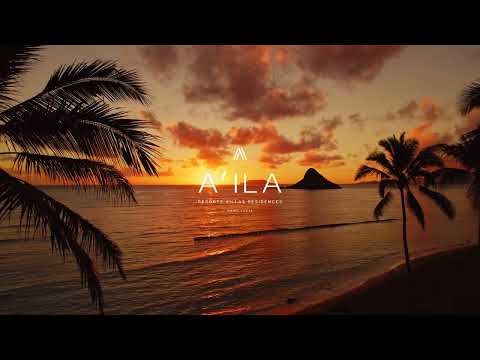 img-video