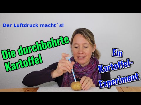 Join us in the research! A potato experiment: the pierced potato