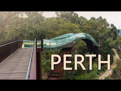 Kings Park in Perth | Australia