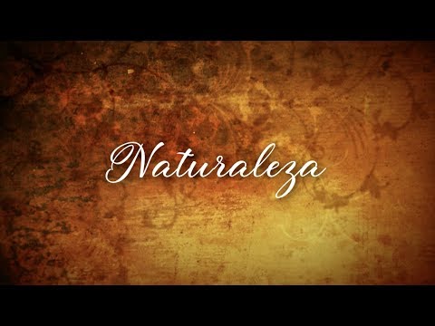 EDITH ARAVENA - NATURALEZA - NATURALEZA  (VIDEO LYRICS)