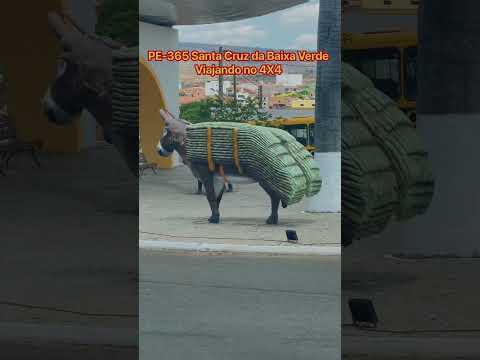 Santa Cruz da Baixa Verde Linda Cidade no Sertão Pernambucano.✅