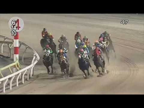 2022.06.28 Yushun Sprint (JPN) - Praelude