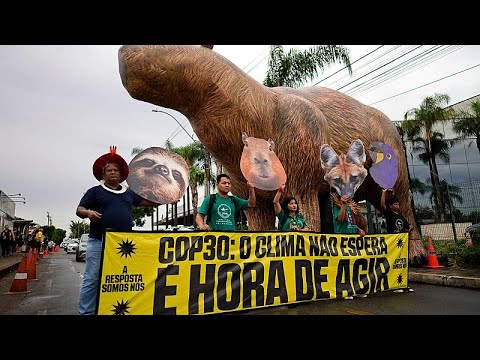 مئات من المتظاهرين الأصليين يطالبون بالاعتراف بالأراضي في عاصمة البرازيل