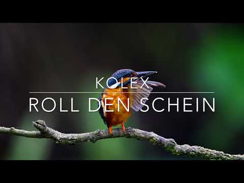 kolex - Roll den Schein (prod. Chucki Beats)