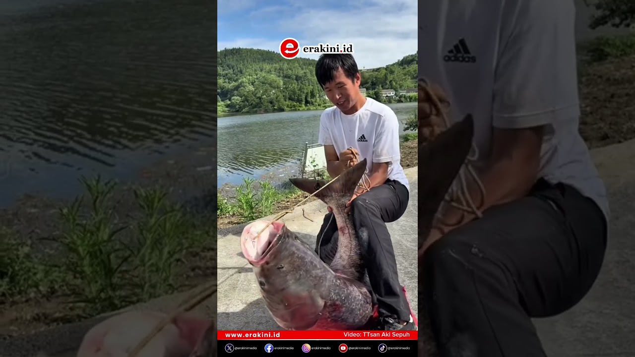 Menjaga Ikan Tetap Hidup Tanpa Banyak Air