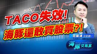 川普口頭TACO失效! 海豚在這時候還買了他! 撿便宜好時候? (圖)