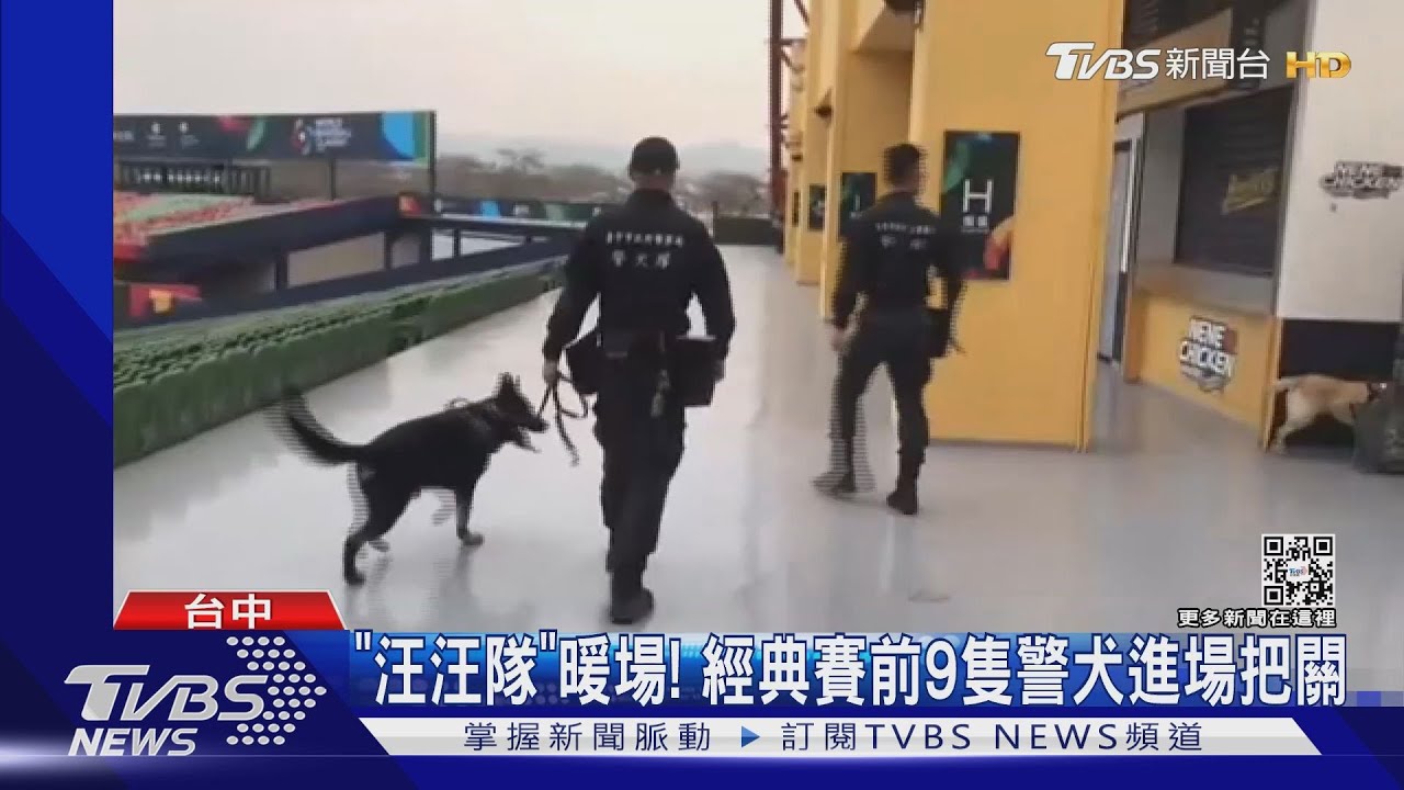 「汪汪隊」暖場!經典賽前9隻警犬進場把關