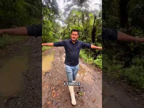 60 HECTÁREAS EN VENTA | CANTÓN ARAJUNO