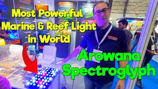 The Arowana Spectroglyph Expert's Secret to a Thriving Aquascape I 5th Aquagic  I 14th IIPTF