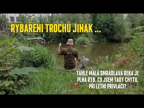 Tahle malá smradlavá řeka je plná ryb. Co jsem tady chytil při letní přívlači?