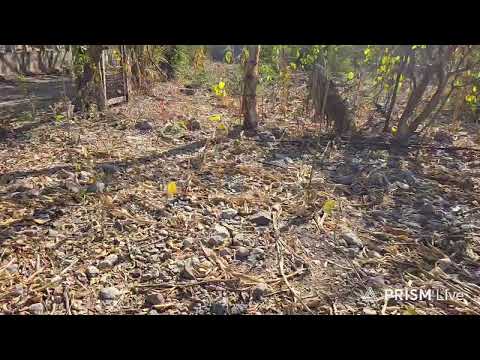 Se vende.   Terreno de 2 cuerdas. Area Chepito cuilco departamento  de huehuetenango 