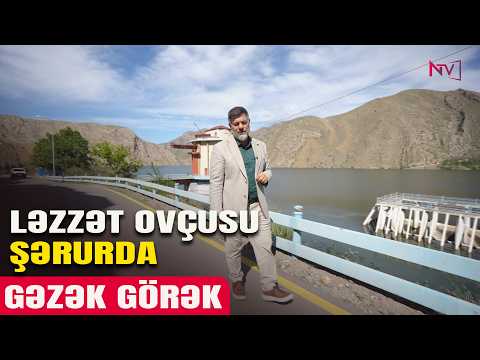GƏZƏK GÖRƏK: LƏZZƏT OVÇUSU ŞƏRURDA 21.05.2026