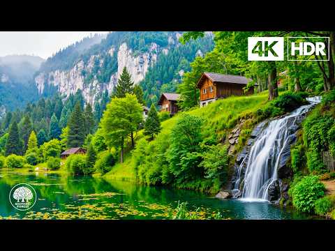 Completely Relax and Free Yourself from Stress | Nature and Meditation 🌿