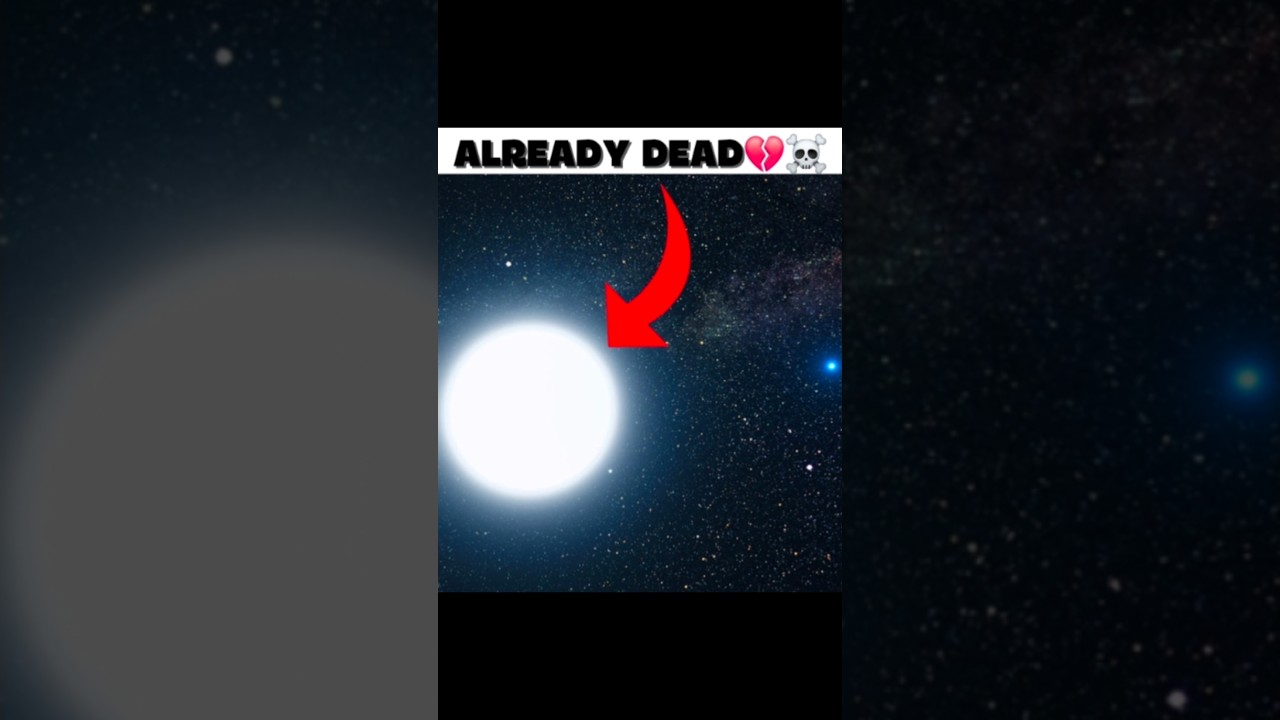 Some Stars You See… Are Already Dead💔