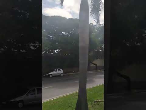 Cidade de Goiânia, capital do Estado de Goiás