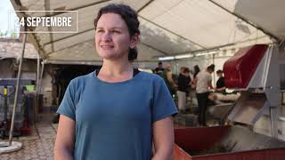 Les vignerons nous parlent de leurs vendanges
