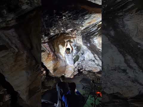 Cocalzinho - Na Lata SDS V8