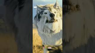 🔥WARCRAFT 2🔥||  Dangerous WOLF😡