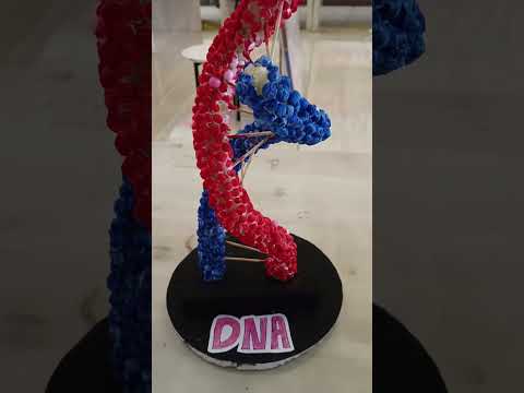 DNA #phonk #music #beats #remix #dnb #love #mudra #musicsong #flowers #mudita